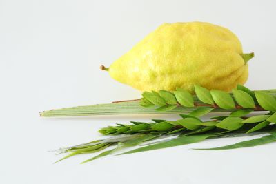 שמחת תורה